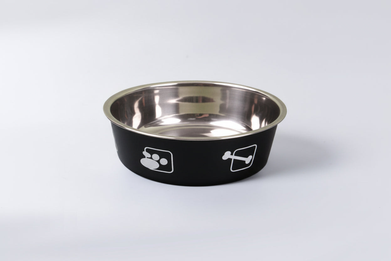 Dual-Layer Stainless Pet Bowl