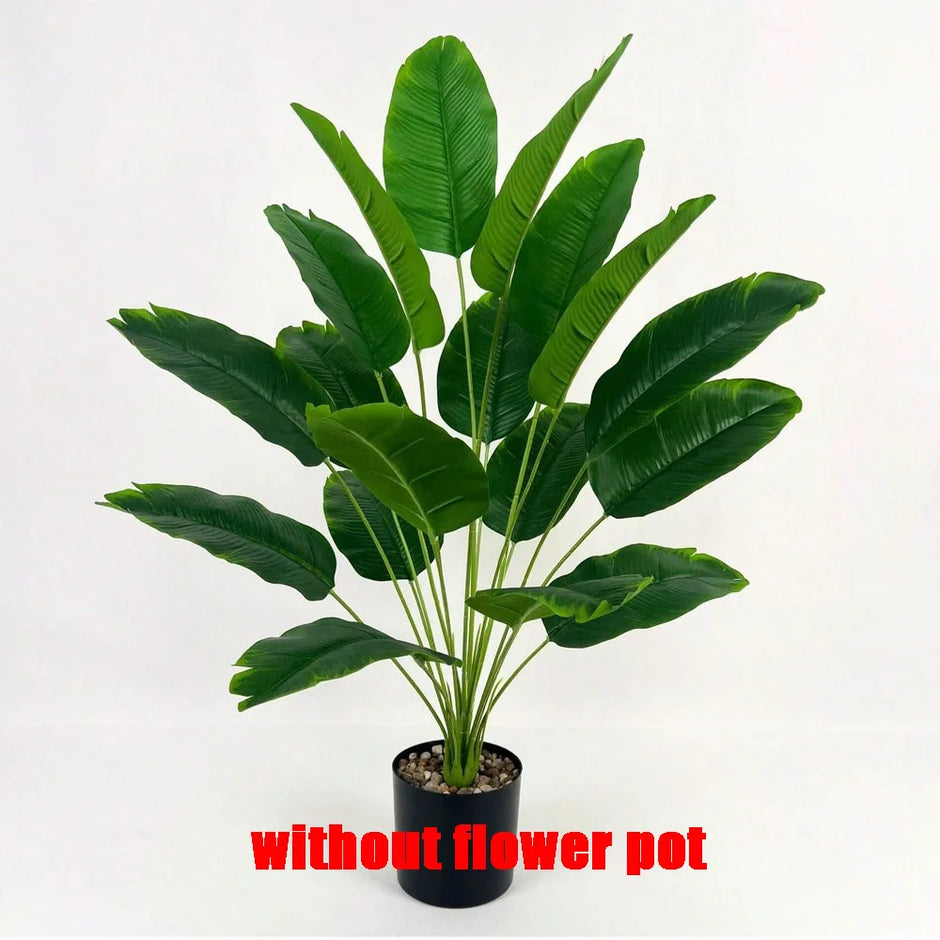 Large Tropical Palm Tree